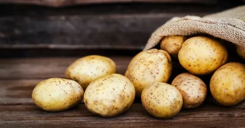 تصویر 4 از خرید سیب زمینی کلمبا + عمده و ارزان