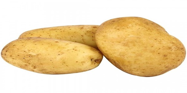 تصویر 3 از فروش عمده سیب زمینی آگریا