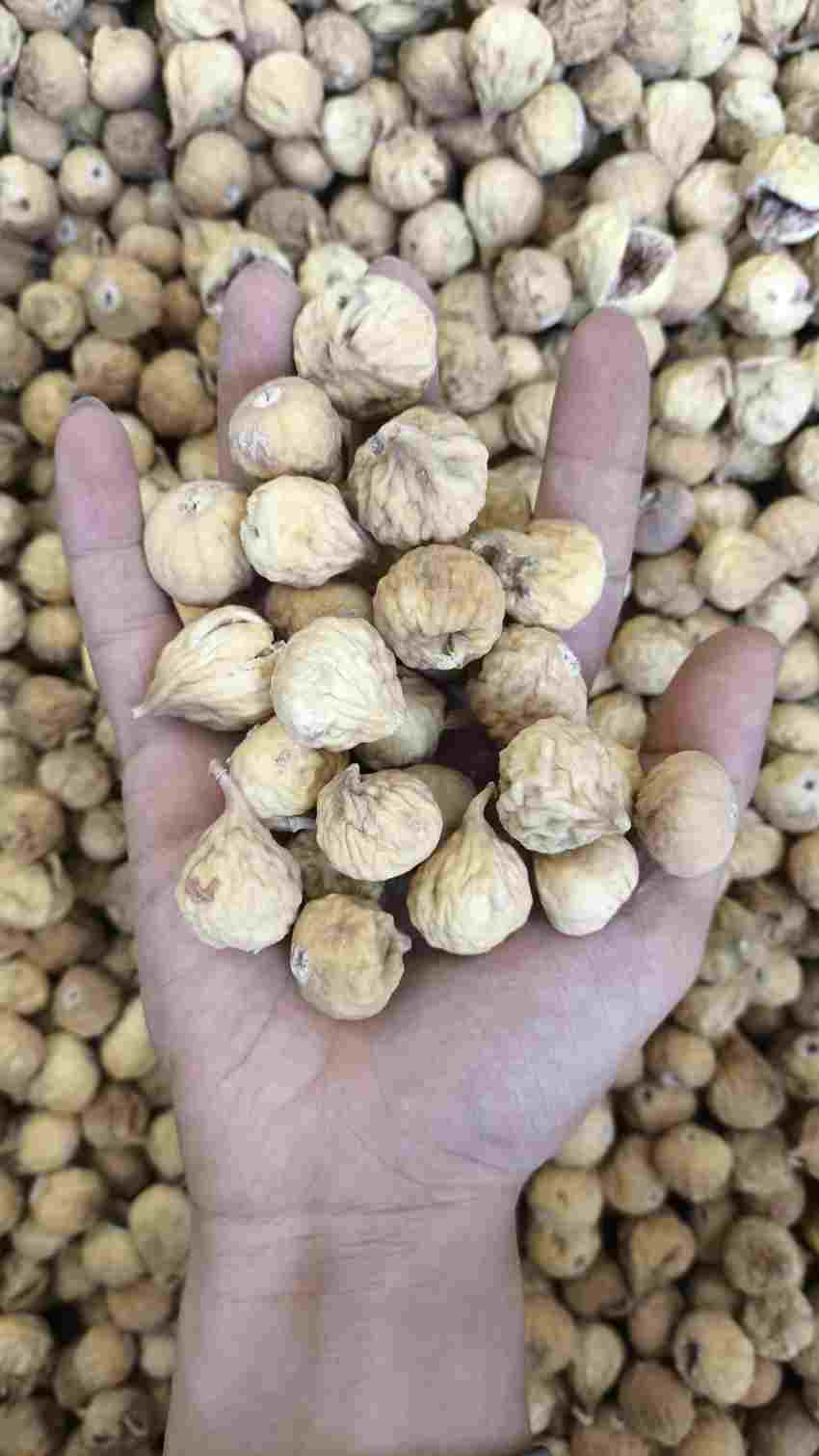 تصویر 4 از خرید و فروش عمده انجیر خشک ارگانیک استهبان سورت صادراتی و تأمین مستقیم