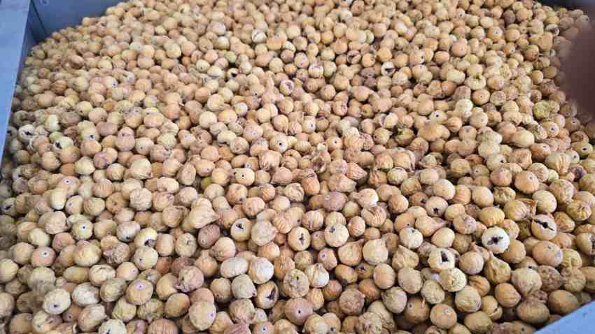 تصویر 3 از خرید و فروش عمده انجیر خشک سالم سورت صادراتی و تأمین مستقیم