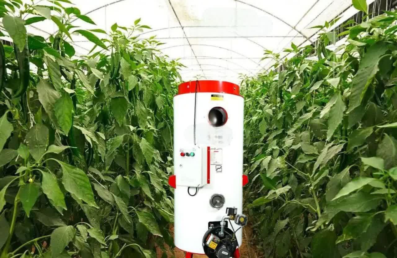 تصویر 1 از بهترین بخاری گلخانه کوچک با 60000 کیلوکالری + خرید بی‌واسطه