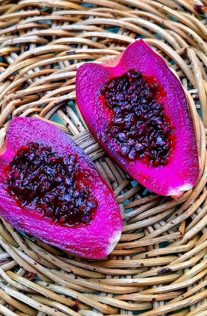 تصویر 1 از فصل فروش عمده میوه کاکتوس رسید