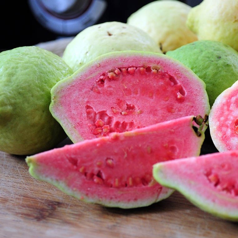 تصویر 2 از سفارش گواوا جنوب عمده بهترین شرایط خرید