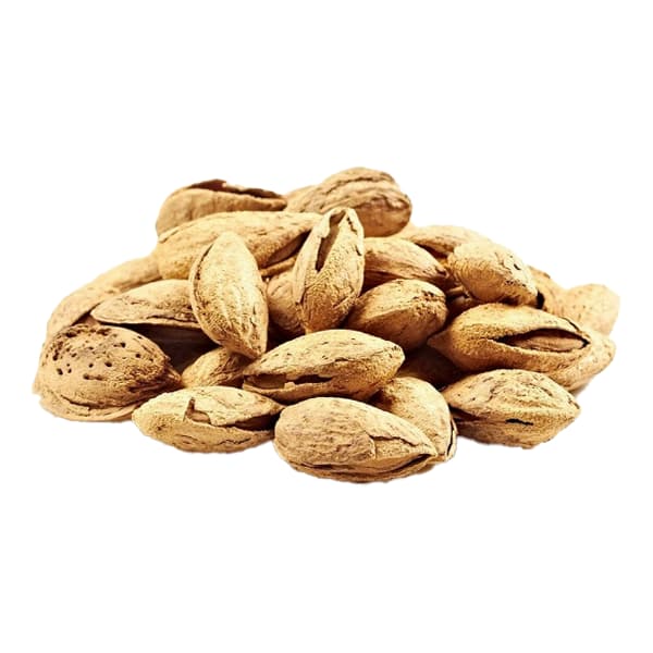 تصویر 4 از قیمت بادام کاغذی امریکایی + خرید عمده