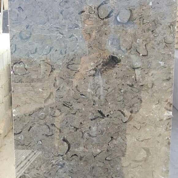 تصویر 1 از سنگ مرمریت طوسی ارسنجان مناسب پوشش کف سالن های پر تردد