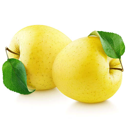 تصویر 1 از فروش سیب زرد