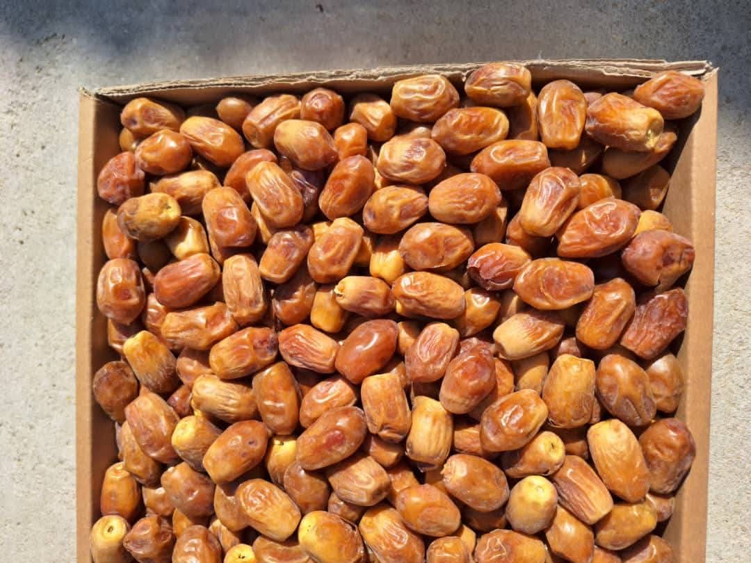 خرما زاهدی کارتن 10 کیلویی فوق اعلا