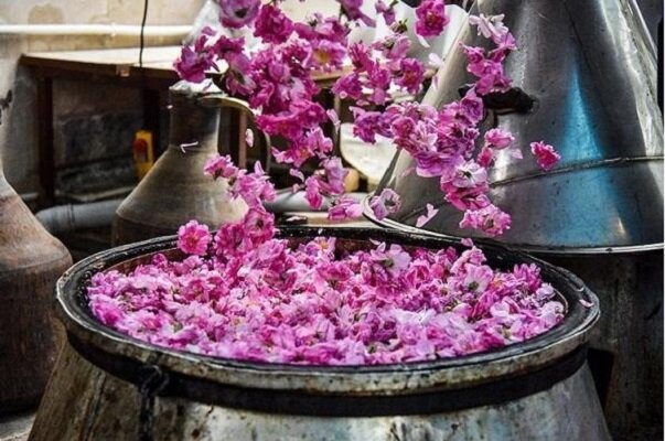 تصویر 1 از گلاب دو آتیشه با کیفیت ممتاز و غلظت بالا