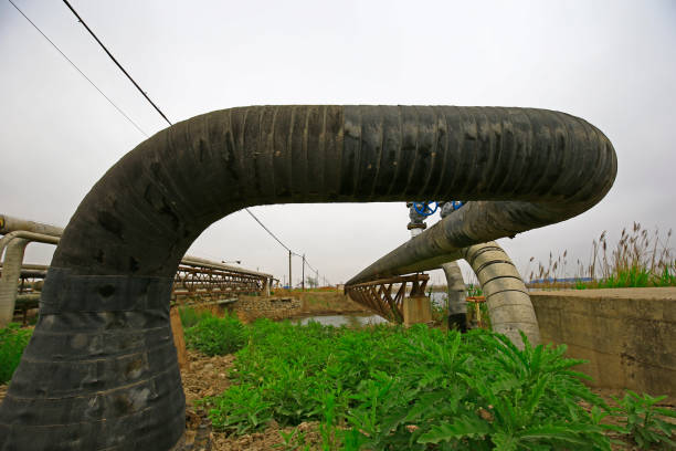 لوله پلی اتیلن برای آبیاری قطره ای با کیفیت مناسب مزارع کشاورزی