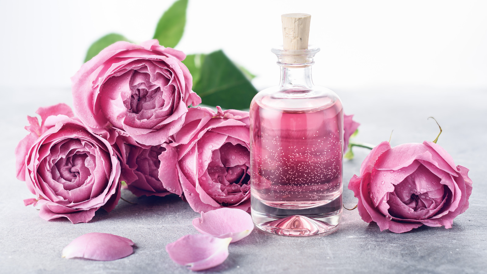 تصویر 3 از گلاب و عرقیات گیاه + فروش عمده