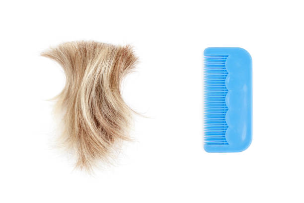 فروش برس مو