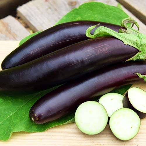 خرید بادمجان