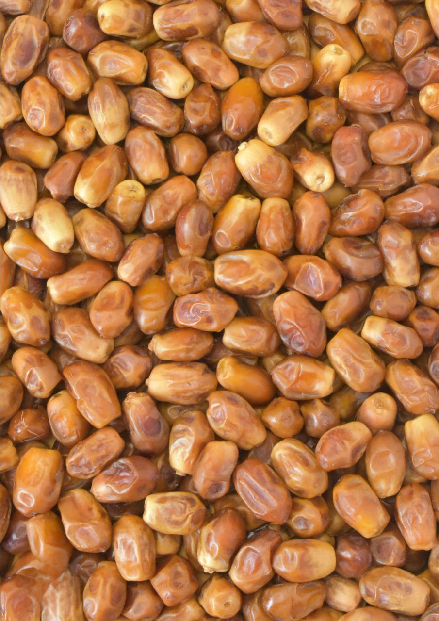 تصویر 3 از خرید انواع خرما زاهدی تامین بوشهر بهترین کیفیت داخلی صادراتی