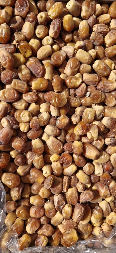 تصویر 1 از قیمت خرما زاهدی دربه کارخانه مناسب کیفیت عالی