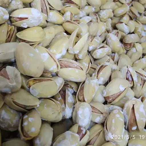 تصویر 4 از پسته اکبری تگری با اندازه یکدست و استاندارد