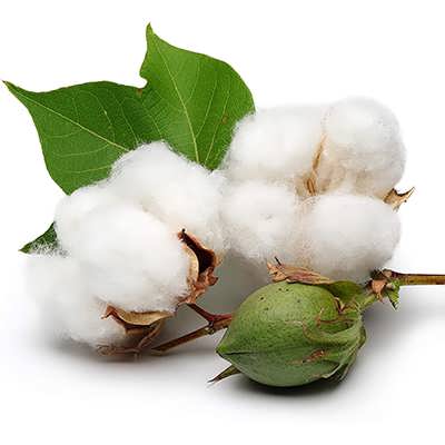 تصویر 4 از قیمت پنبه هیدروفیل استریل + خرید باور نکردنی