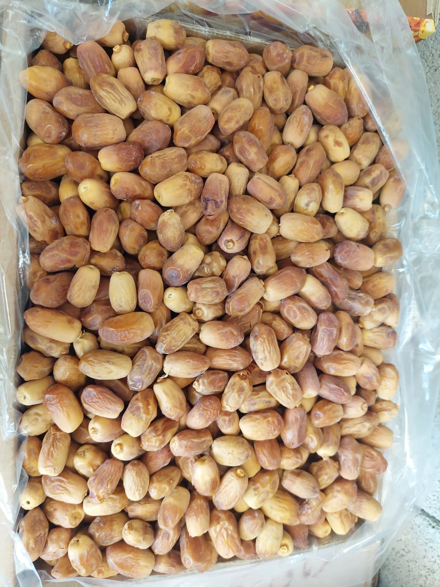 تصویر 2 از قیمت خرما زاهدی تامین استان فارس قیرکارزین