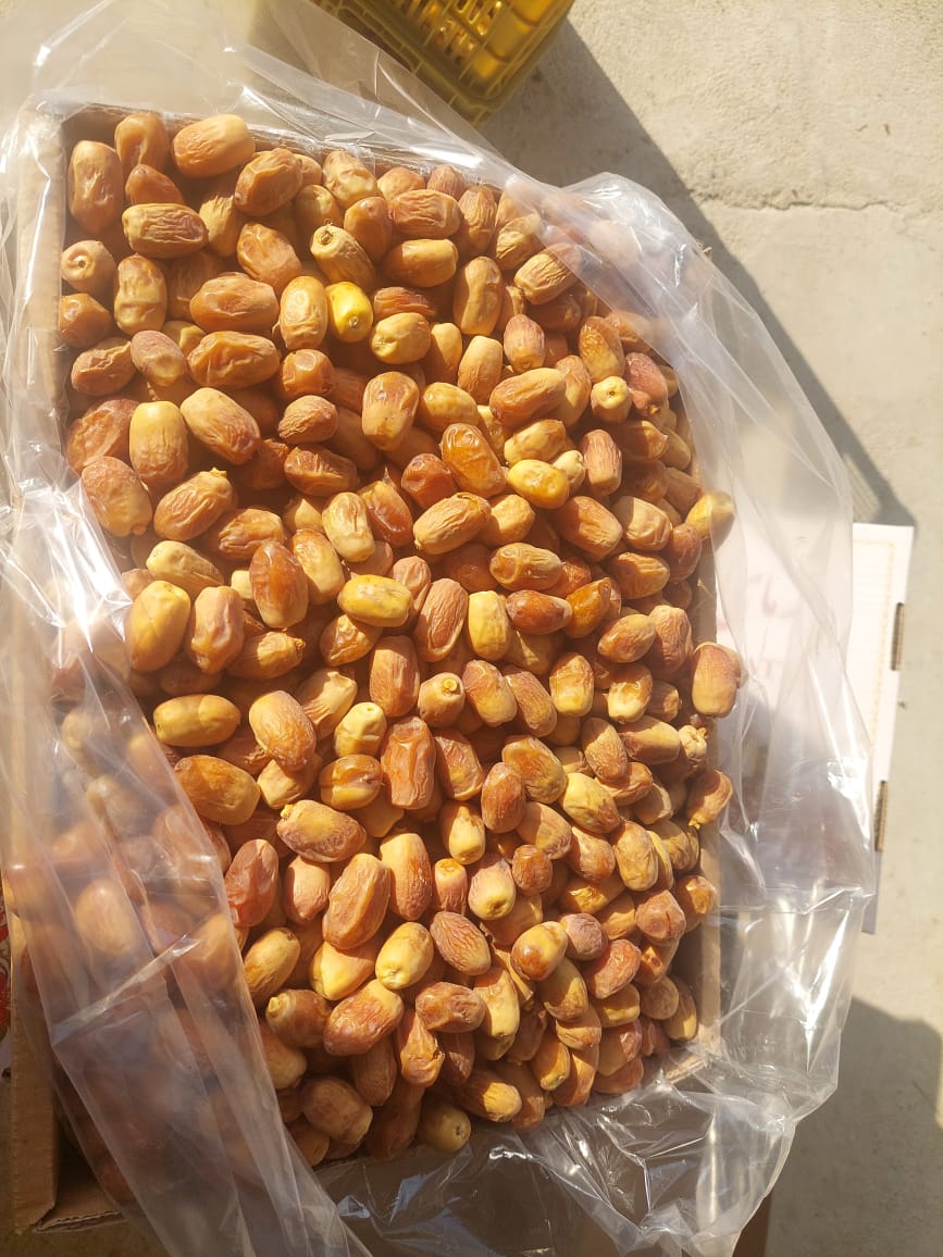 تصویر 1 از قیمت خرما زاهدی تامین استان فارس قیرکارزین