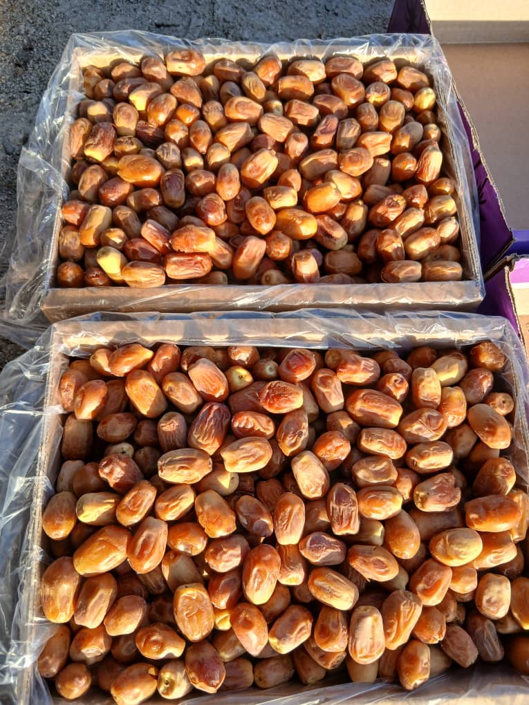 تصویر 2 از خرید فروش فوری درجه یک خرما زاهدی تامین استان بوشهر بهترین کیفیت عالی داخلی صادراتی