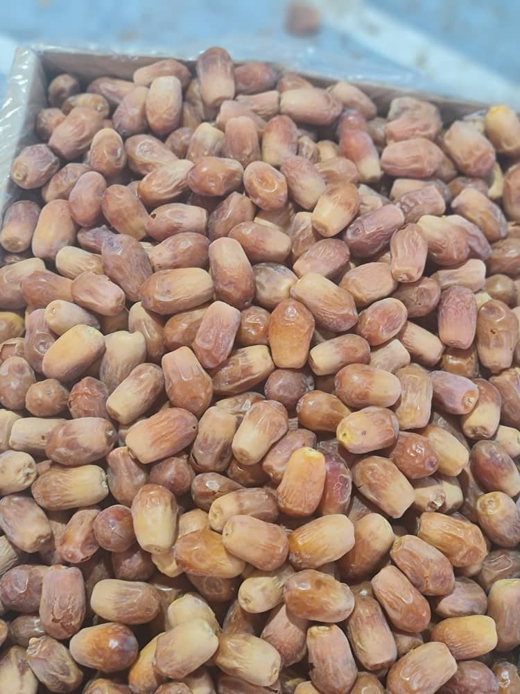 تصویر 1 از خرید فروش فوری درجه یک خرما زاهدی تامین استان بوشهر بهترین کیفیت عالی داخلی صادراتی