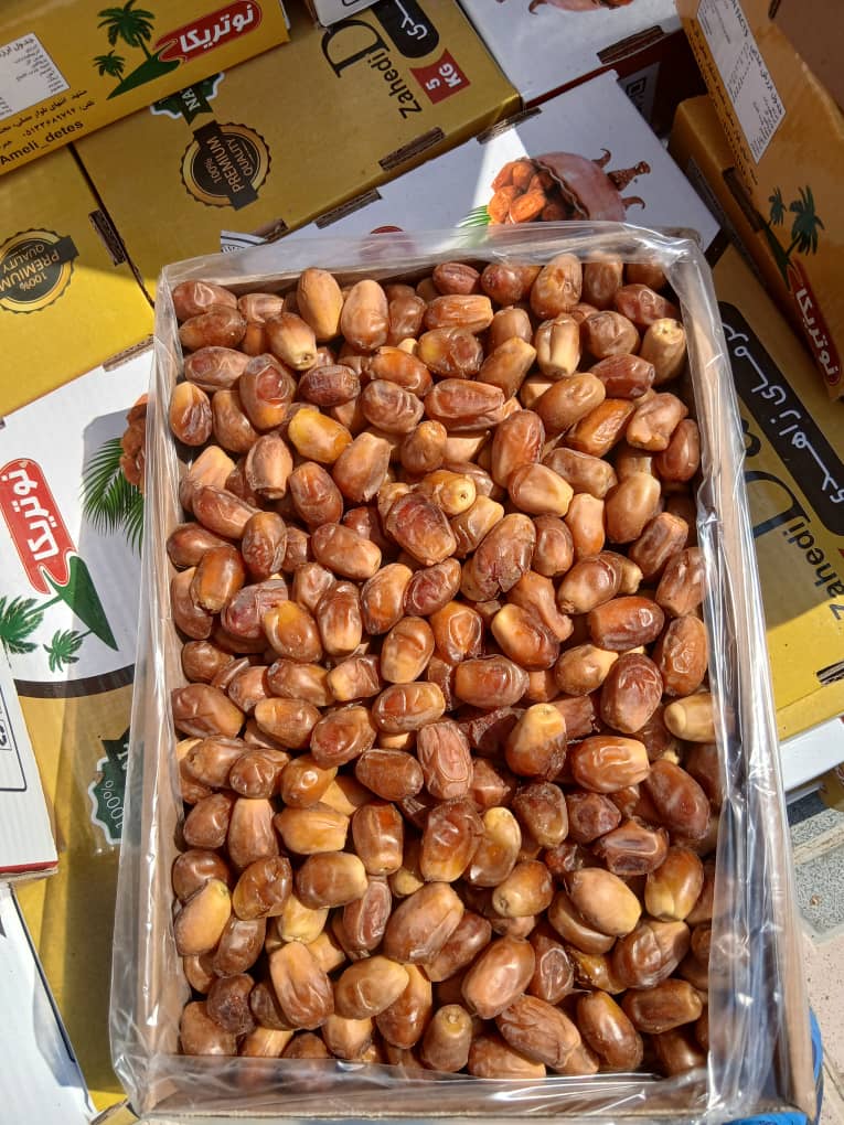 تصویر 5 از خرید فروش فوری درجه یک خرما زاهدی تامین استان بوشهر بهترین کیفیت عالی داخلی صادراتی