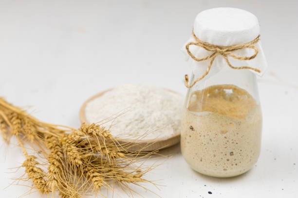 سویق ۶ گیاه کودک با بافت پودری سبک مناسب شروع تغذیه نوزاد