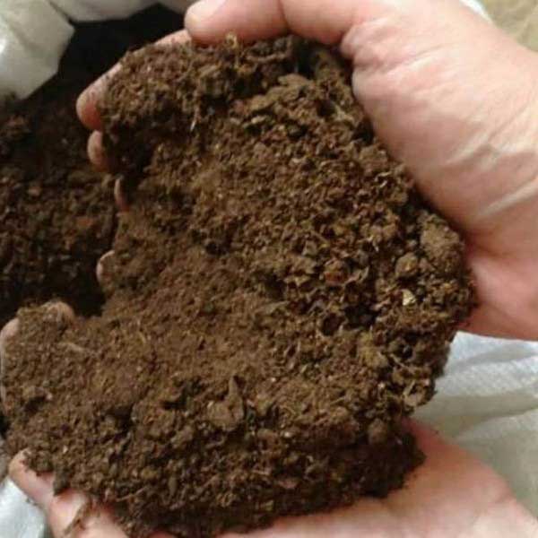 قیمت کود گوسفندی با کیفیت ارزان + خرید عمده