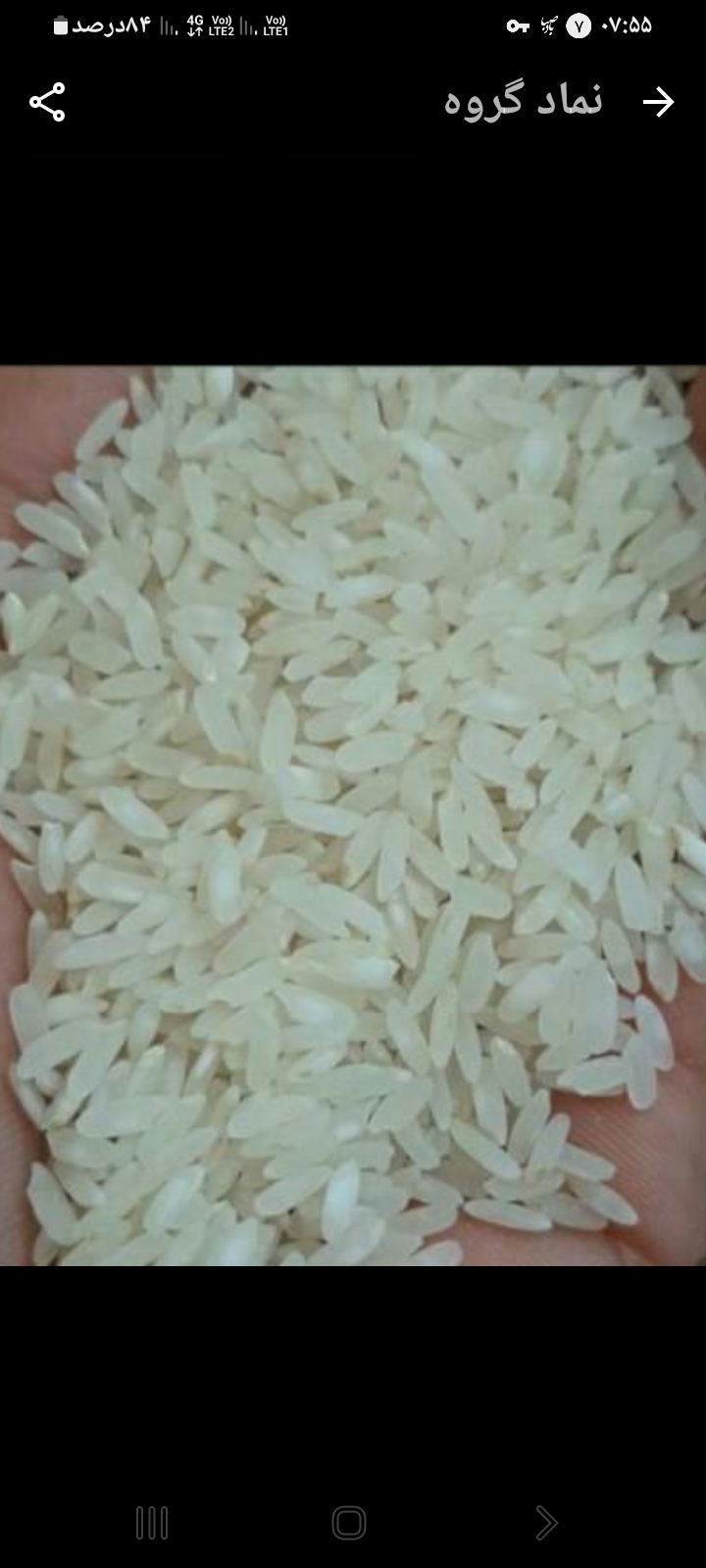 تصویر 3 از برنج کامفیروزی اصل استان فارس