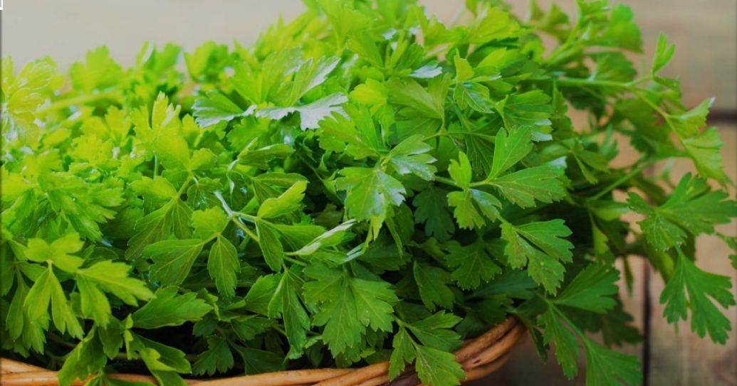 ارزانترین قیمت جعفری خشک در بازار + کیفیت بالا