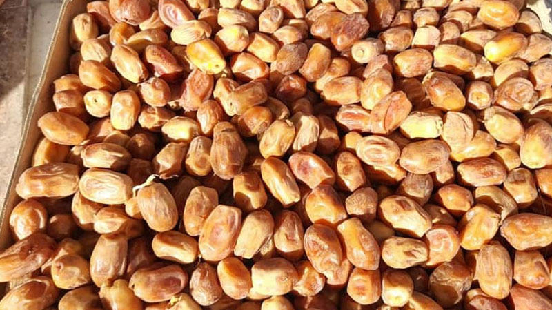 تصویر 4 از خرید فروش انواع خرما زاهدی تامین استان فارس قیرکارزین تناژ بالا موجود