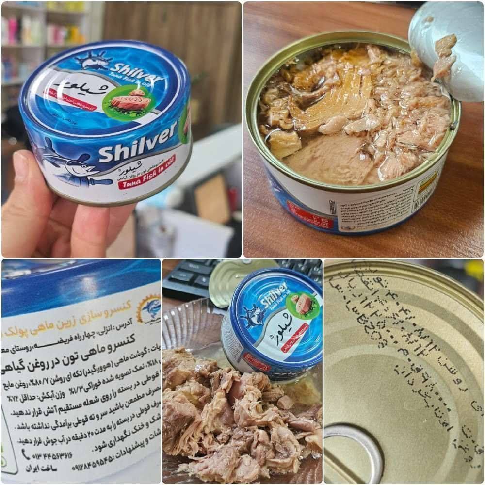فروش عمده کنسرو تن ماهی شیلور