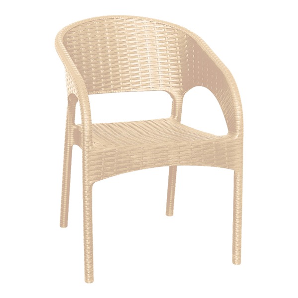 تصویر 3 از صندلی پلاستیکی خاص انتخابی متفاوت و خاص‌ پسند