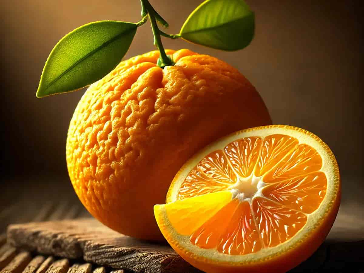 تصویر 2 از انواع کنسانتره نارنج برای آشپزی و نوشیدنی های خانگی