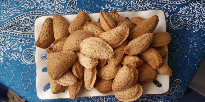 قیمت بادام درختی