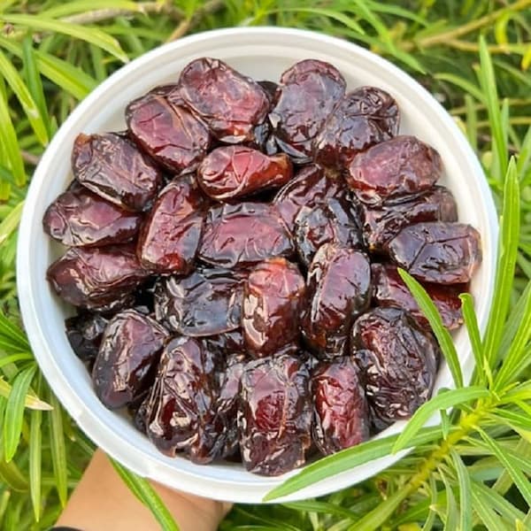 خرما کبکاب عرفان بهترین خرمای خوزستان