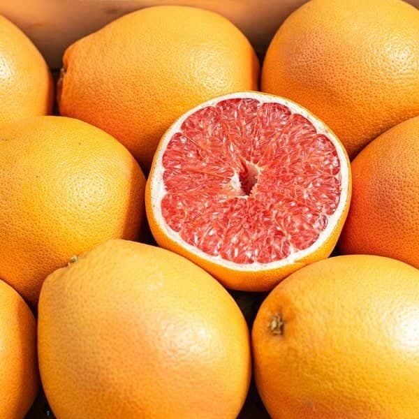 تصویر 4 از کنسانتره محلی گریپ فروت برای استفاده در صنایع غذایی متنوع