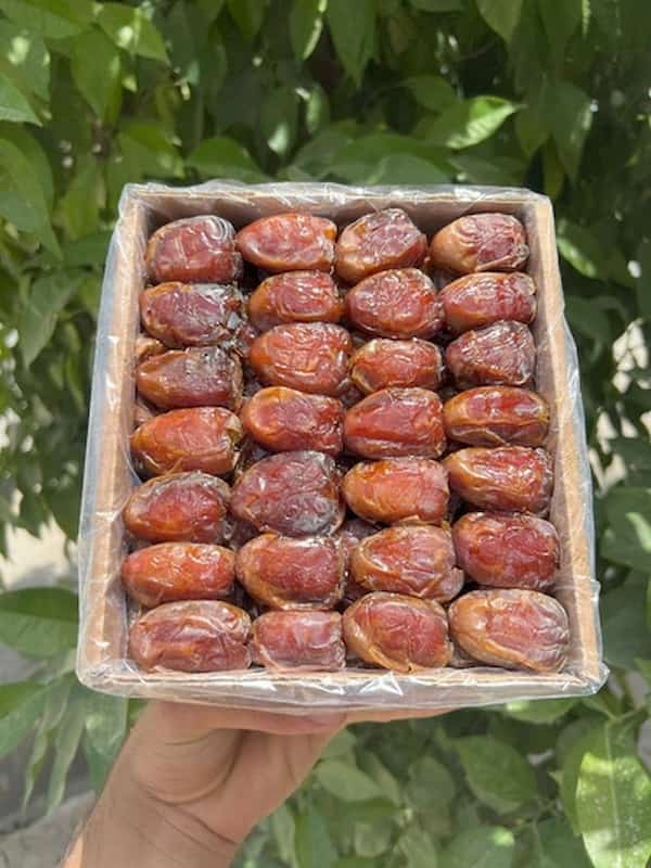 خرما کبکاب 1 کیلویی منبع عالی انرژی