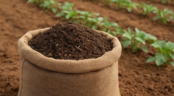 کود مرغی فرآوری شده با آنالیز کامل مواد مغذی