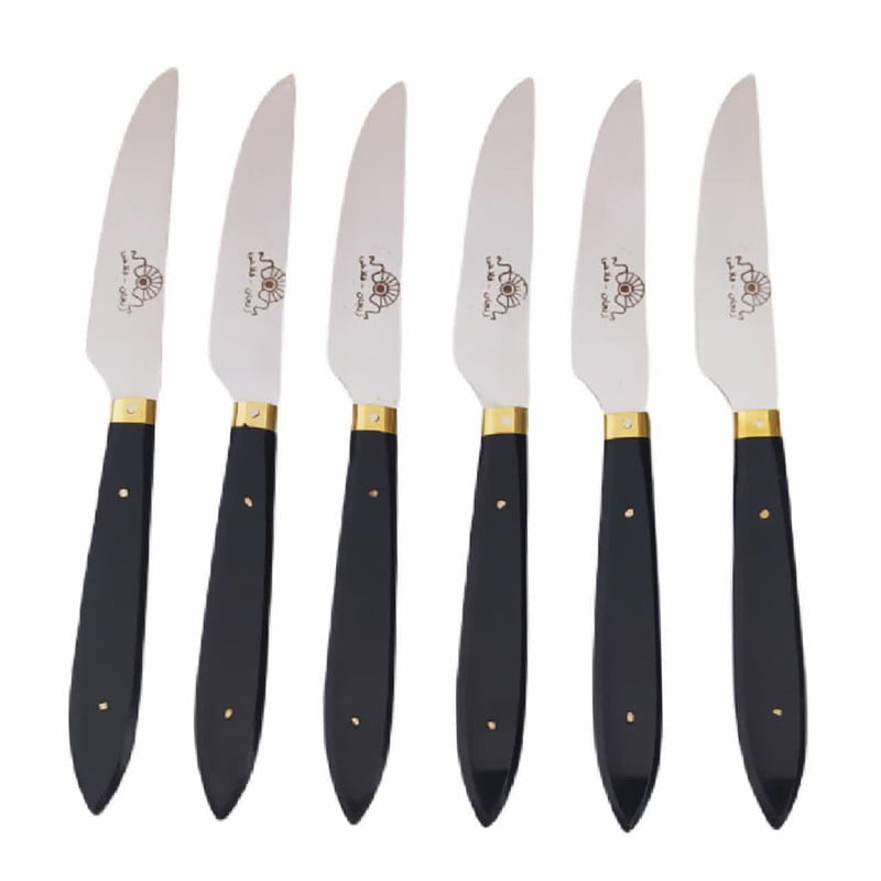 تصویر 2 از هنر آشپزخانه با چاقو زنجان