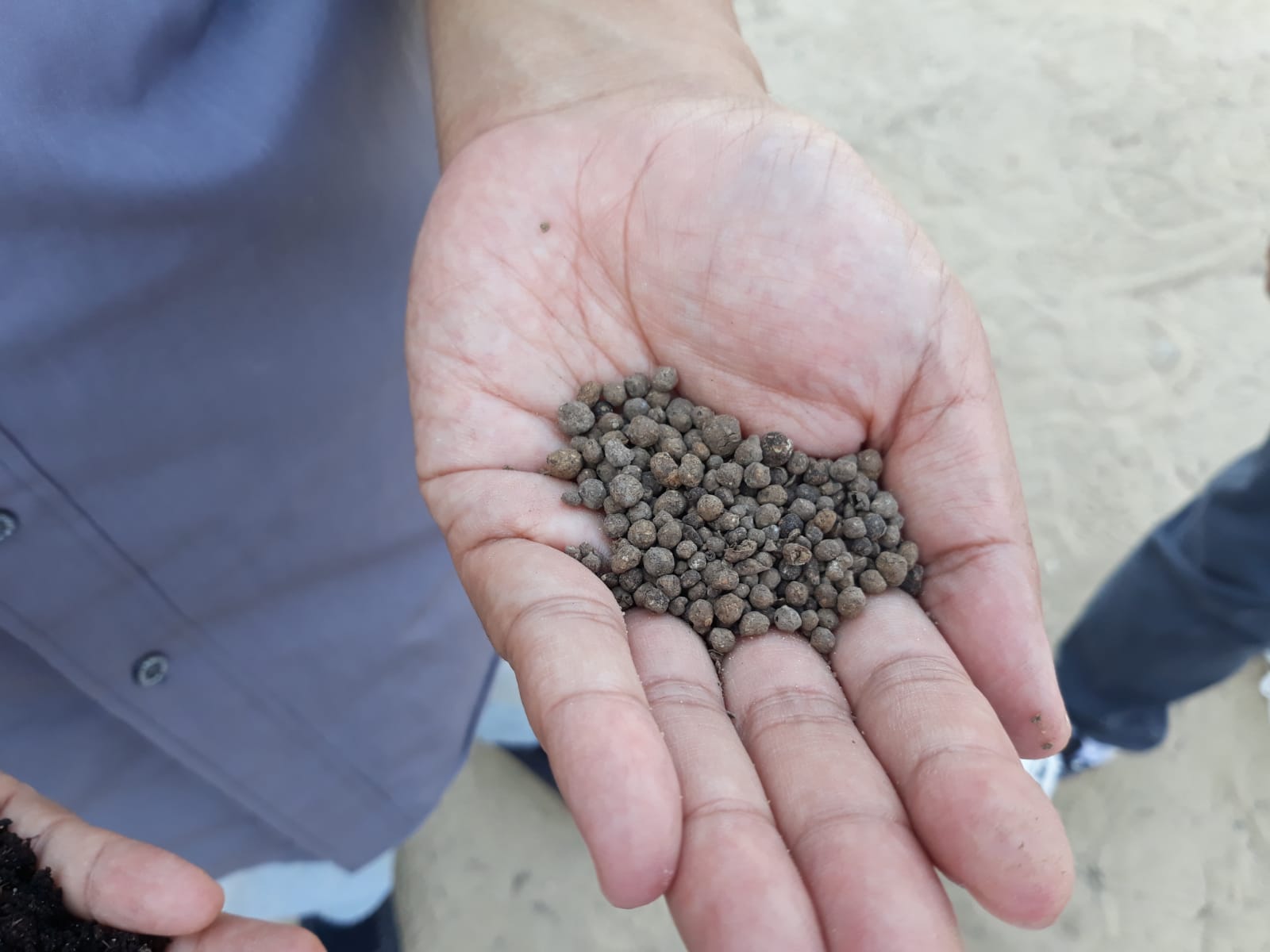 غذای ماهی جنگجو برای ماهی‌ های بزرگ و کوچک