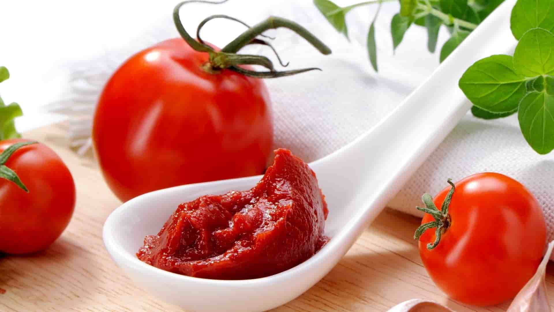 رب گوجه فرنگی همدست انتخابی عالی برای آشپزخانه