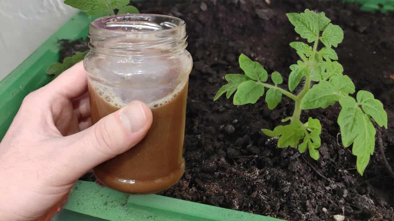 تصویر 3 از کود مرغی ارگانیک 20 لیتری با منشا طبیعی و سازگاری کامل زیست محیطی