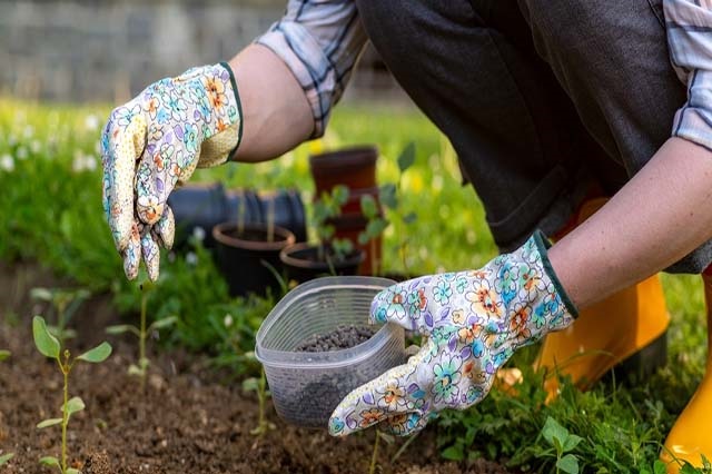 کود مرغی پرهام با ساختار زیست ساز و پشتیبان ریشه گیاه