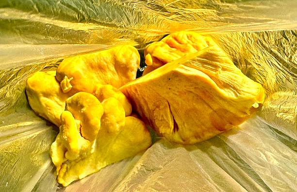 تصویر 1 از گوگرد امولسیون مناسب استفاده در تولید کود