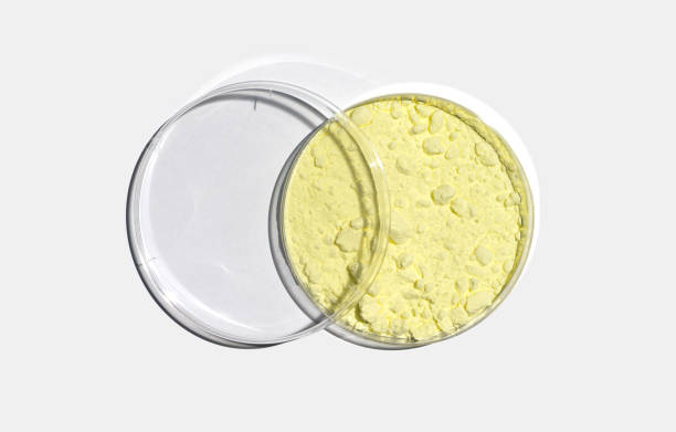 تصویر 3 از گوگرد خوراکی مناسب استفاده در صنایع دارویی و غذایی