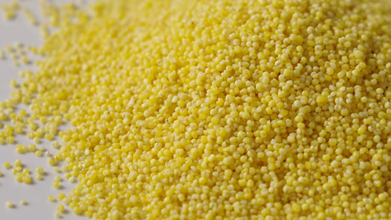 تصویر 1 از گوگرد لایف با خلوص 98 درصد و مش 250 مناسب اصلاح خاک