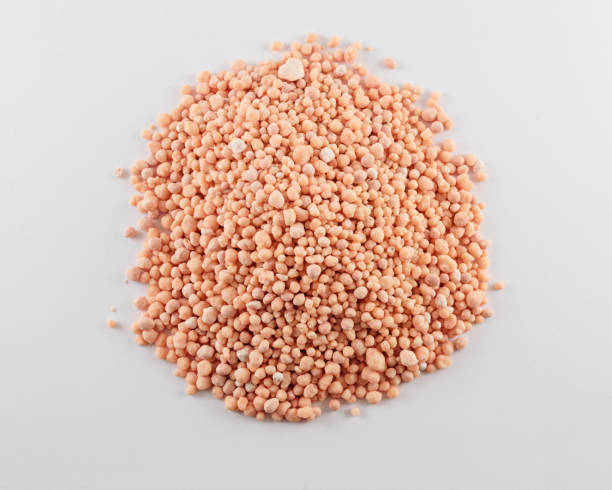 تصویر 3 از گوگرد صورتی مقاوم در برابر شستشو برای مصارف طولانی مدت در خاک