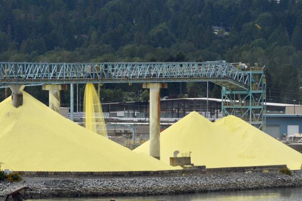 تصویر 1 از گوگرد حشرات با ذرات ریز برای پوشش یکنواخت روی گیاهان