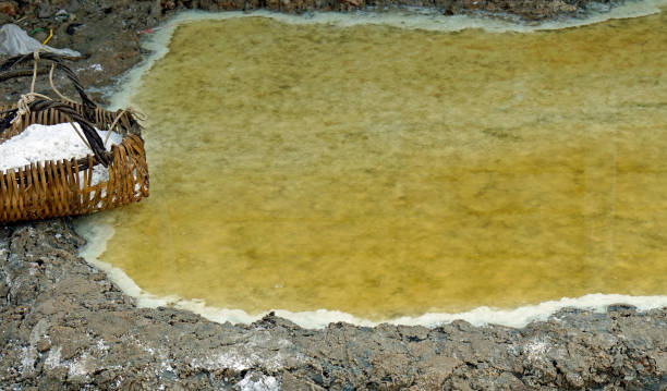 تصویر 4 از گوگرد کلرید صنعتی با واکنش پذیری بالا نسبت به آب و الکل ها