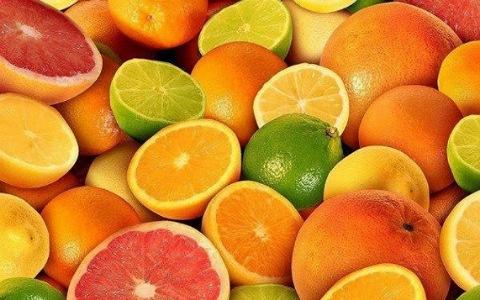 پرتقال نافل با خوشه‌ بندی منظم و آماده بازار